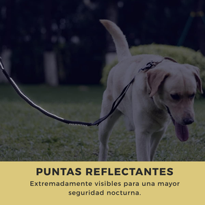 Correa Reflectiva de Alta Calidad con Función Anti-Jalones Doble Agarre