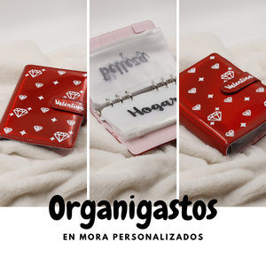 ORGANIGASTOS PERSONALIZADO