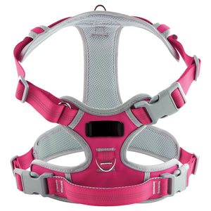 PECHERA CANINA CON PLACA PERSONALIZADA A LÁSER