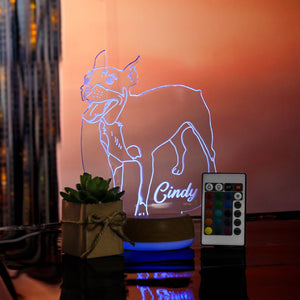 LÁMPARA EN  ACRÍLICO CON ILUSTRACÍON