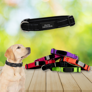 COLLAR REFLECTIVO PERSONALIZADO CON LÁSER PARA PERRO