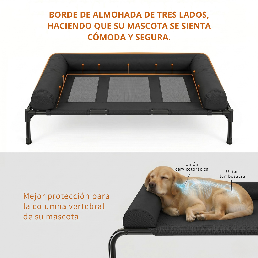 CAMA PARA PERRO ELEVADA CON BORDES EN U ACOLCHADO PERSONALIZADO CON NOMBRE