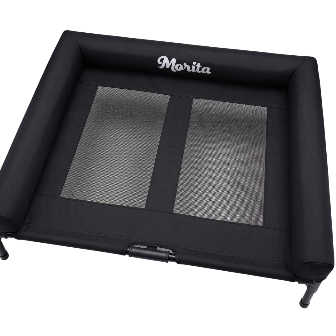 CAMA PARA PERRO ELEVADA CON BORDES EN U ACOLCHADO PERSONALIZADO CON NOMBRE