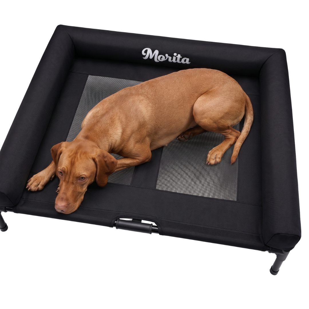 CAMA PARA PERRO ELEVADA CON BORDES EN U ACOLCHADO PERSONALIZADO CON NOMBRE