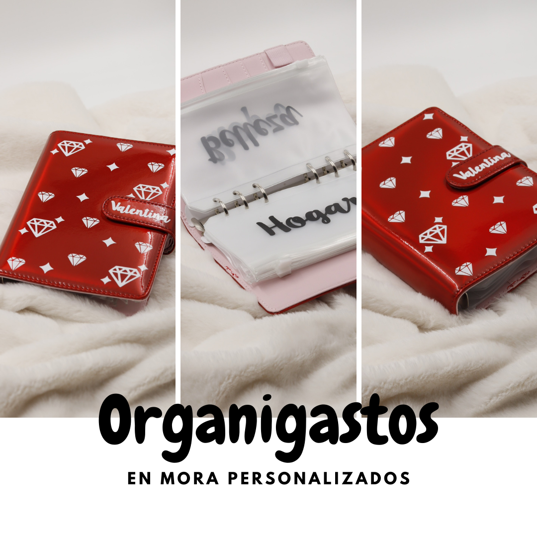 ORGANIGASTOS  PERSONALIZADO