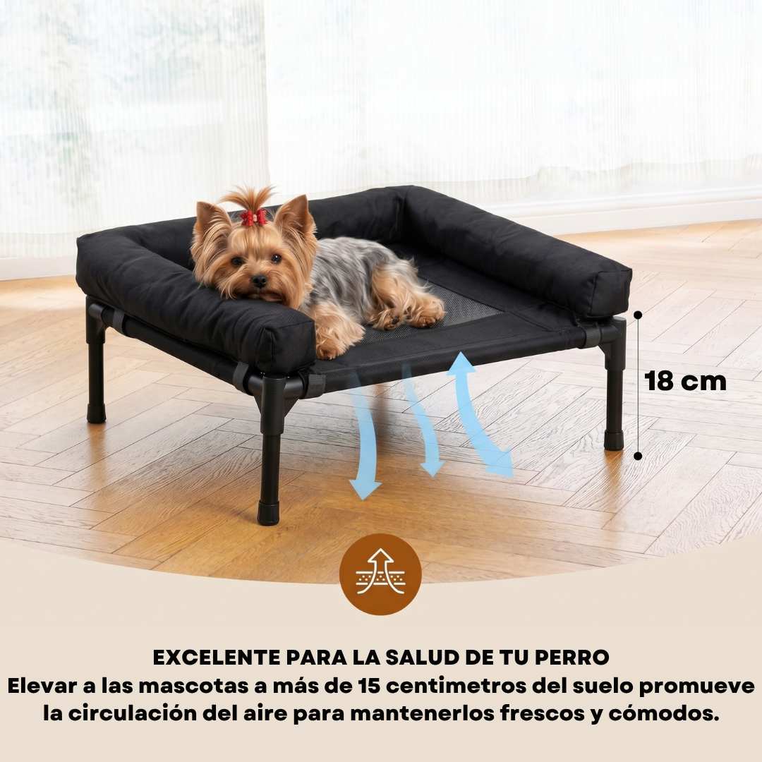 CAMA PARA PERRO ELEVADA CON BORDES EN U ACOLCHADO PERSONALIZADO CON NOMBRE