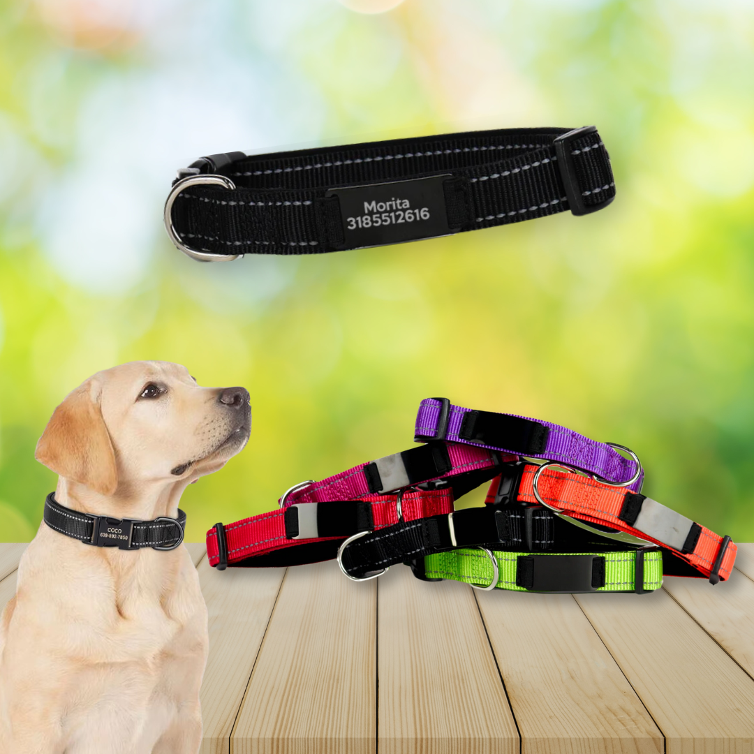 COLLAR REFLECTIVO PERSONALIZADO CON LÁSER PARA PERRO