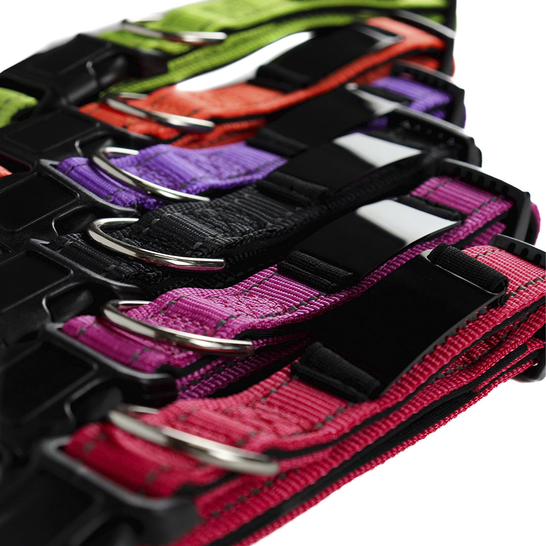 COLLAR REFLECTIVO PERSONALIZADO CON LÁSER PARA PERRO